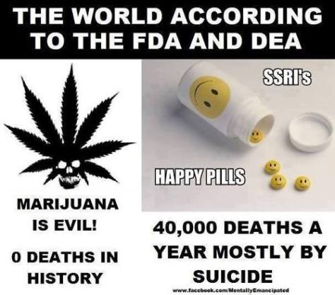 Real Cannabis Statistics
