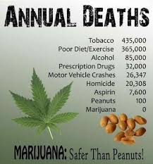 Marijuana death facts