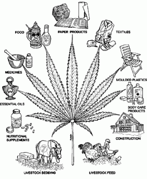 Marijuana uses throughout the centuries