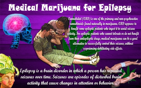 If this plant can treat epilepsy as effectively as it does...why are we keeping it from so many Americans?