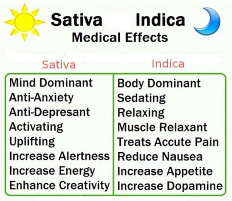 Sativa and Indica effects on medical conditions