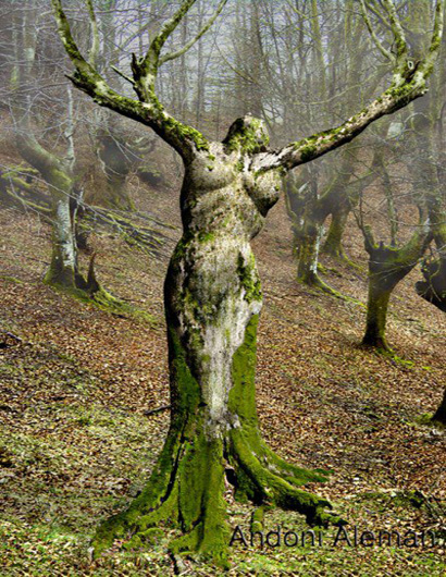 Bizarre Tree Art. Image courtesy of www.crispyclicks.com via Google Images.